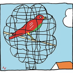 Hans van Pelt Cartoons